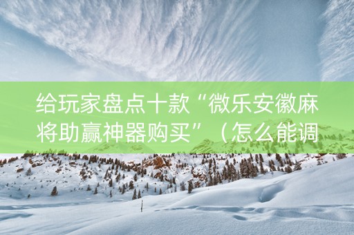 给玩家盘点十款“微乐安徽麻将助赢神器购买”（怎么能调好牌)