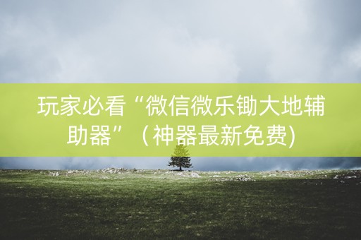 玩家必看“微信微乐锄大地辅助器”（神器最新免费)
