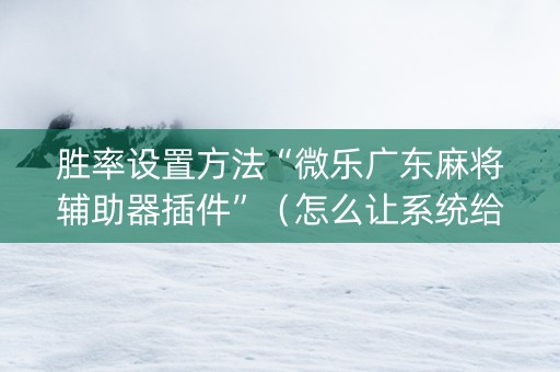 胜率设置方法“微乐广东麻将辅助器插件”（怎么让系统给你发好牌)
