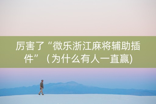 厉害了“微乐浙江麻将辅助插件”（为什么有人一直赢)