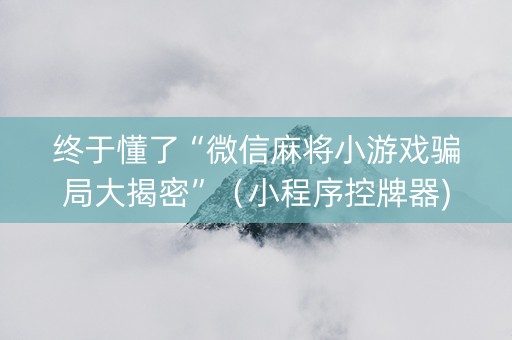 终于懂了“微信麻将小游戏骗局大揭密”（小程序控牌器)