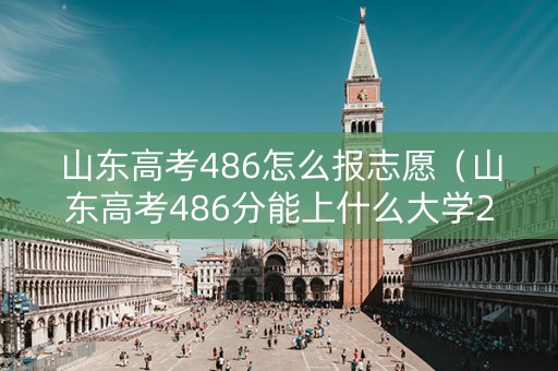 山东高考486怎么报志愿（山东高考486分能上什么大学2021）