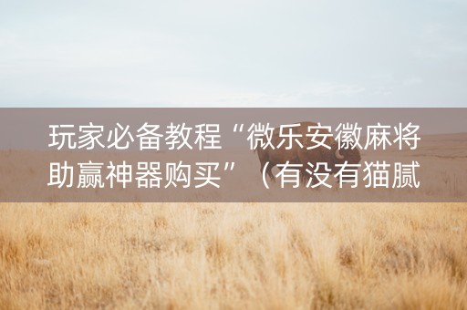 玩家必备教程“微乐安徽麻将助赢神器购买”（有没有猫腻)