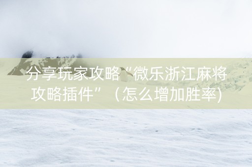 分享玩家攻略“微乐浙江麻将攻略插件”（怎么增加胜率)
