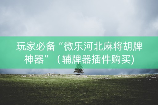 玩家必备“微乐河北麻将胡牌神器”（辅牌器插件购买)