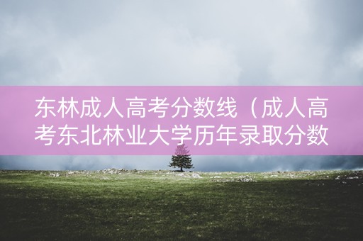 东林成人高考分数线（成人高考东北林业大学历年录取分数）