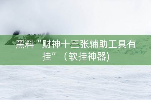 黑料“财神十三张辅助工具有挂”（软挂神器)