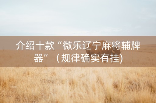 介绍十款“微乐辽宁麻将辅牌器”（规律确实有挂)