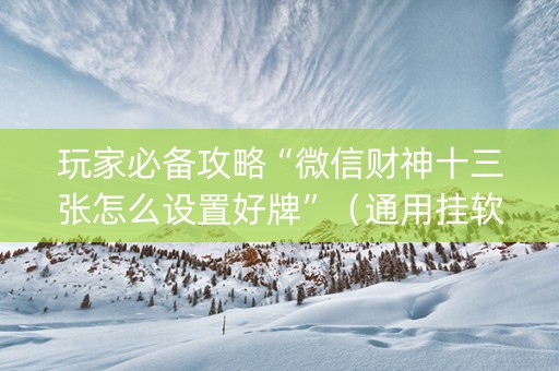 玩家必备攻略“微信财神十三张怎么设置好牌”（通用挂软件多少钱)