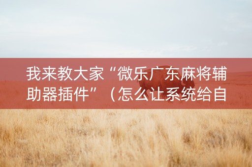 我来教大家“微乐广东麻将辅助器插件”（怎么让系统给自己好牌)