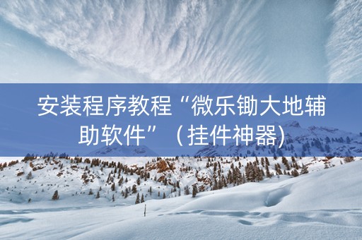 安装程序教程“微乐锄大地辅助软件”（挂件神器)