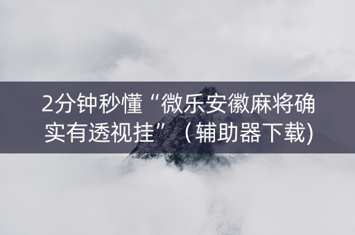 2分钟秒懂“微乐安徽麻将确实有透视挂”（辅助器下载)