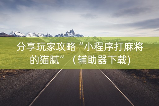 分享玩家攻略“小程序打麻将的猫腻”（辅助器下载)