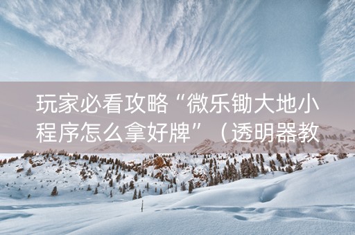玩家必看攻略“微乐锄大地小程序怎么拿好牌”（透明器教程)