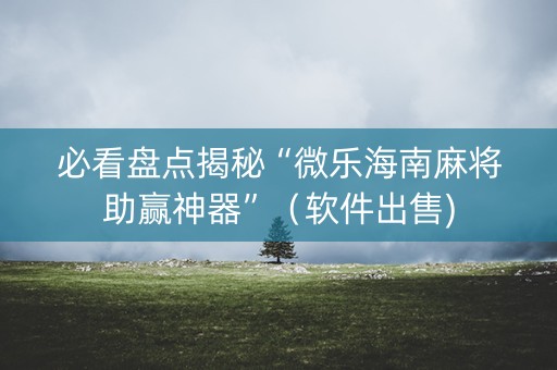 必看盘点揭秘“微乐海南麻将助赢神器”（软件出售)