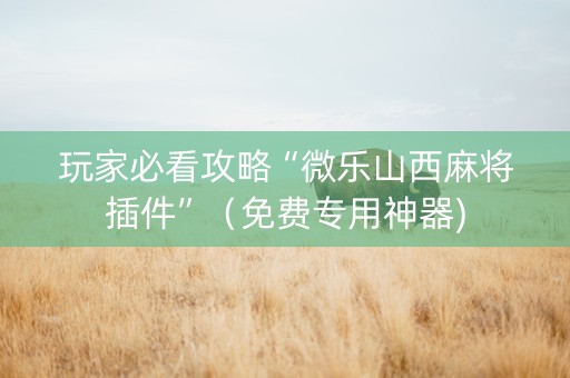 玩家必看攻略“微乐山西麻将插件”（免费专用神器)
