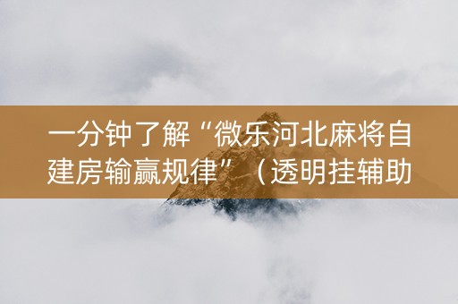 一分钟了解“微乐河北麻将自建房输赢规律”（透明挂辅助器)
