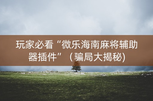玩家必看“微乐海南麻将辅助器插件”（骗局大揭秘)