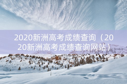 2020新洲高考成绩查询（2020新洲高考成绩查询网站）