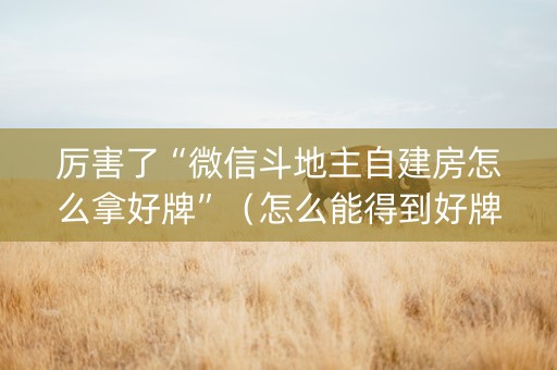 厉害了“微信斗地主自建房怎么拿好牌”（怎么能得到好牌)