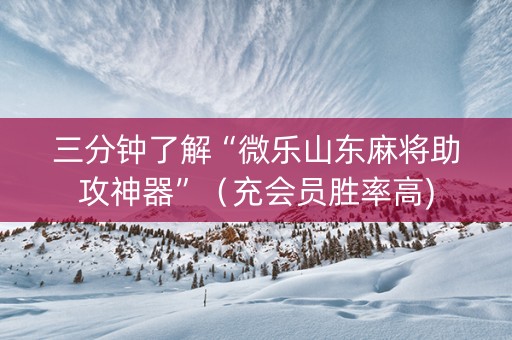 三分钟了解“微乐山东麻将助攻神器”（充会员胜率高)