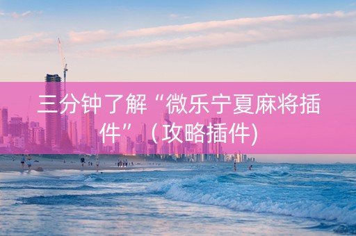 三分钟了解“微乐宁夏麻将插件”（攻略插件)