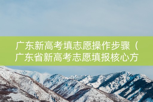 广东新高考填志愿操作步骤（广东省新高考志愿填报核心方法与技巧）
