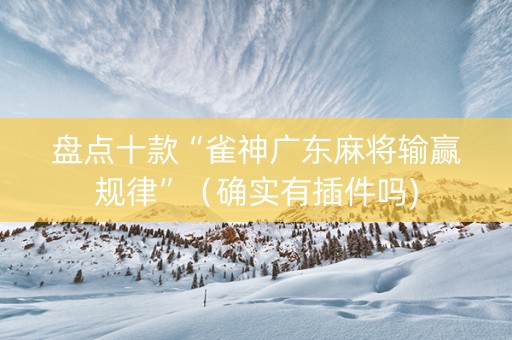 盘点十款“雀神广东麻将输赢规律”（确实有插件吗)