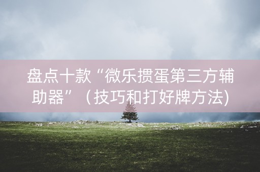 盘点十款“微乐掼蛋第三方辅助器”（技巧和打好牌方法)
