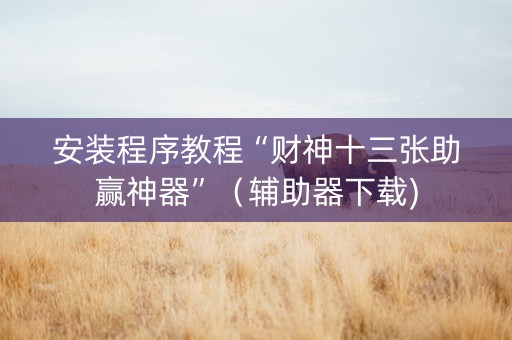 安装程序教程“财神十三张助赢神器”（辅助器下载)