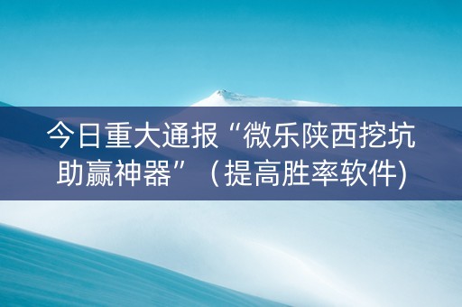 今日重大通报“微乐陕西挖坑助赢神器”（提高胜率软件)