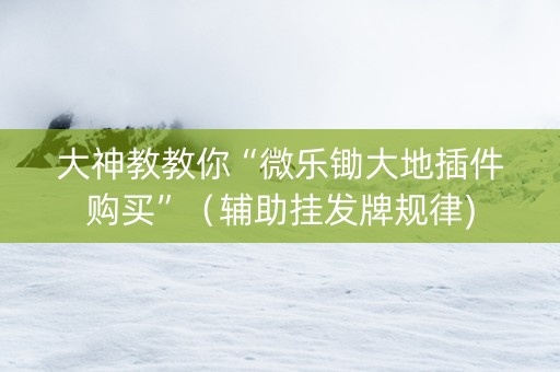 大神教教你“微乐锄大地插件购买”（辅助挂发牌规律)