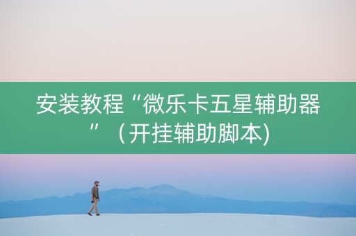 安装教程“微乐卡五星辅助器”（开挂辅助脚本)