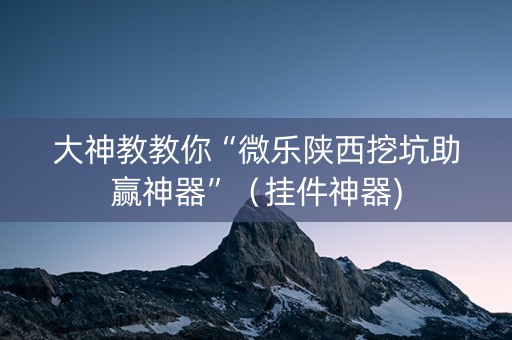大神教教你“微乐陕西挖坑助赢神器”（挂件神器)
