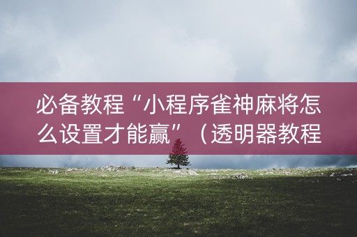 必备教程“小程序雀神麻将怎么设置才能赢”（透明器教程)