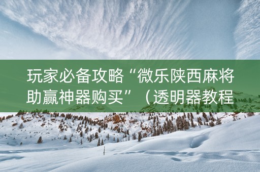 玩家必备攻略“微乐陕西麻将助赢神器购买”（透明器教程)