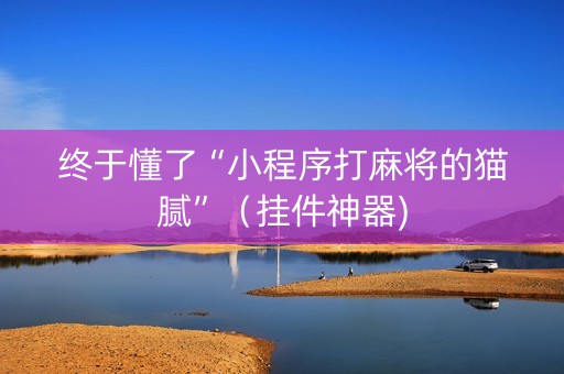 终于懂了“小程序打麻将的猫腻”（挂件神器)