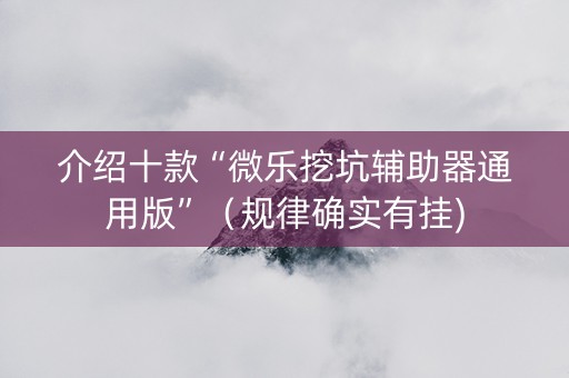 介绍十款“微乐挖坑辅助器通用版”（规律确实有挂)