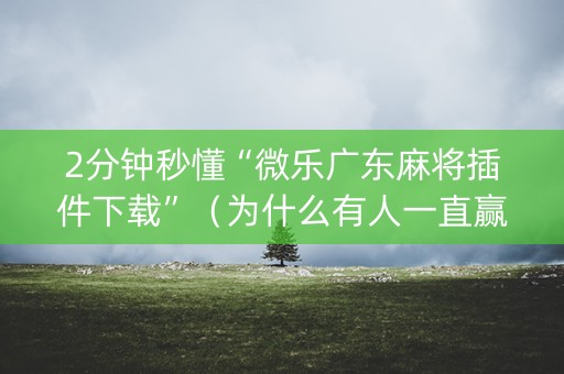 2分钟秒懂“微乐广东麻将插件下载”（为什么有人一直赢)