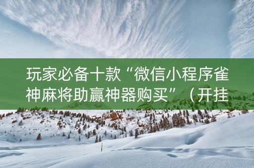 玩家必备十款“微信小程序雀神麻将助赢神器购买”（开挂辅助器脚本)