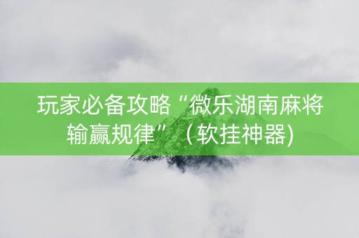 玩家必备攻略“微乐湖南麻将输赢规律”（软挂神器)