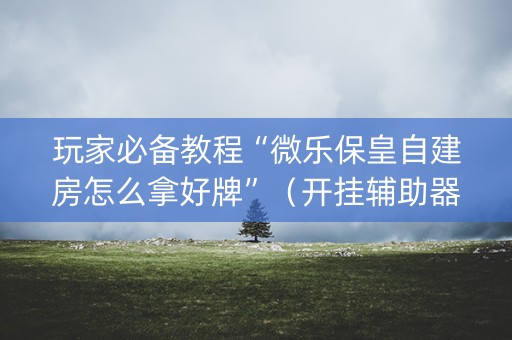玩家必备教程“微乐保皇自建房怎么拿好牌”（开挂辅助器插件)