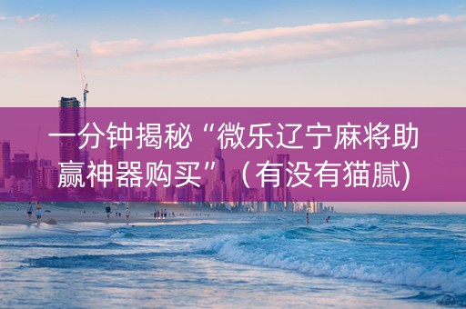 一分钟揭秘“微乐辽宁麻将助赢神器购买”（有没有猫腻)
