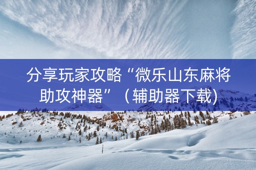 分享玩家攻略“微乐山东麻将助攻神器”（辅助器下载)