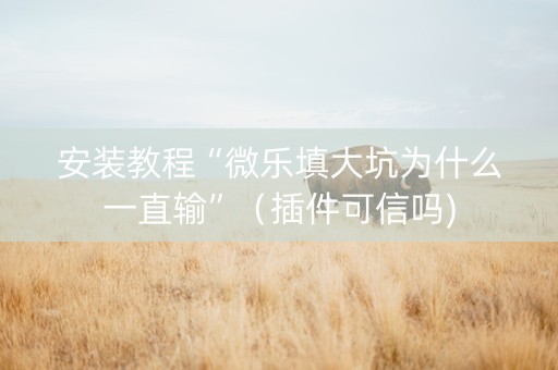 安装教程“微乐填大坑为什么一直输”（插件可信吗)