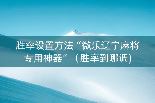 胜率设置方法“微乐辽宁麻将专用神器”（胜率到哪调)