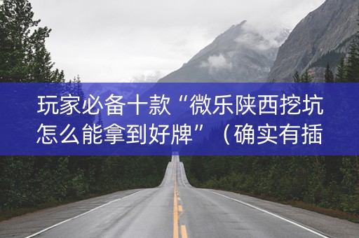 玩家必备十款“微乐陕西挖坑怎么能拿到好牌”（确实有插件吗)