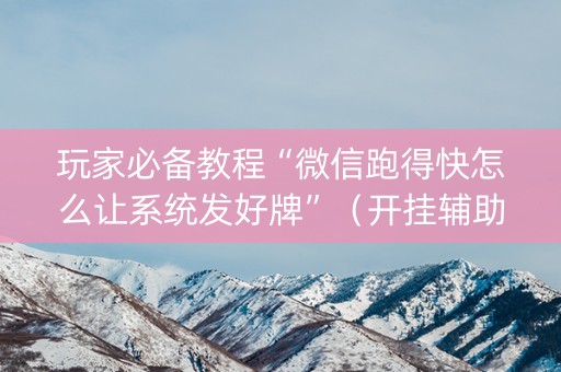 玩家必备教程“微信跑得快怎么让系统发好牌”（开挂辅助插件)