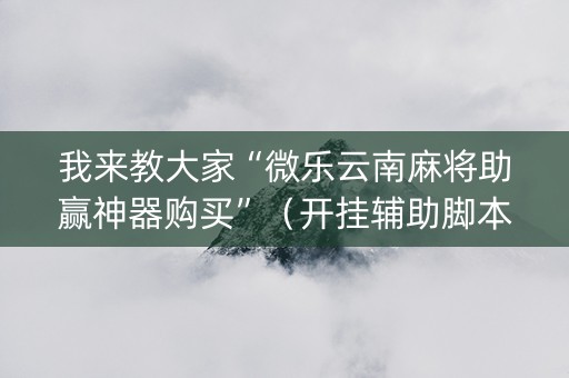 我来教大家“微乐云南麻将助赢神器购买”（开挂辅助脚本)