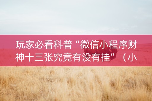 玩家必看科普“微信小程序财神十三张究竟有没有挂”（小程序辅助软件)